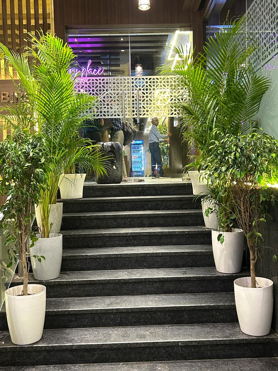 Hotel Ranbirs Alambagh entrance staircase